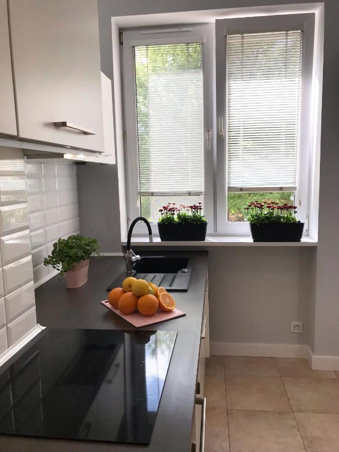 Klimatyczny Apartament Pod Ratuszem -Ul. Slaska 2 Czestochowa Luaran gambar
